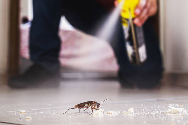 Trusted East Brooklyn, CT Pest Control Experts